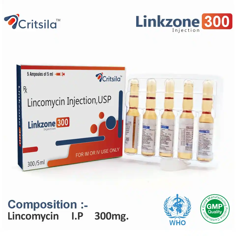 Lincomycin 300mg injection best price for pharma franchise